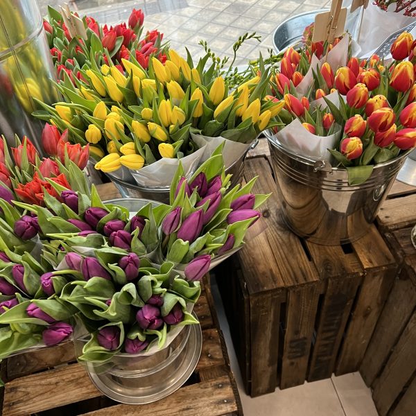 Paquete de tulipanes