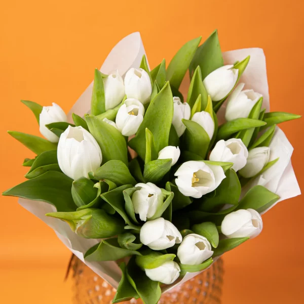 Ramo de Tulipanes (10 tulipanes)