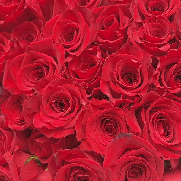 Ramo Amor Eterno - Imagen 5