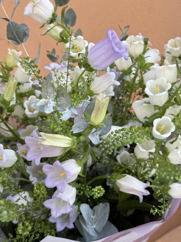 Ramo de Campanula - Imagen 5
